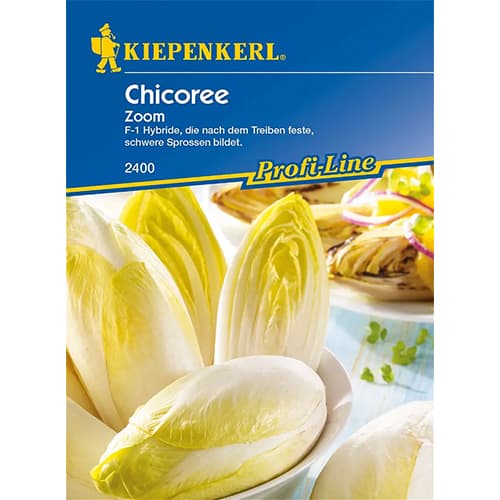 Cikorija Zoom F1 slika 1 interface.art 86424