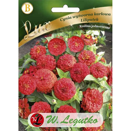 Cinija Liliputek, crvena patuljasta slika 1 interface.art 78662