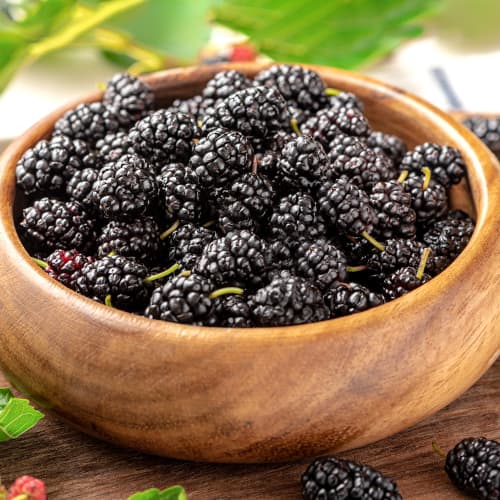 Crna murva, P9 slika 1 interface.art 5859