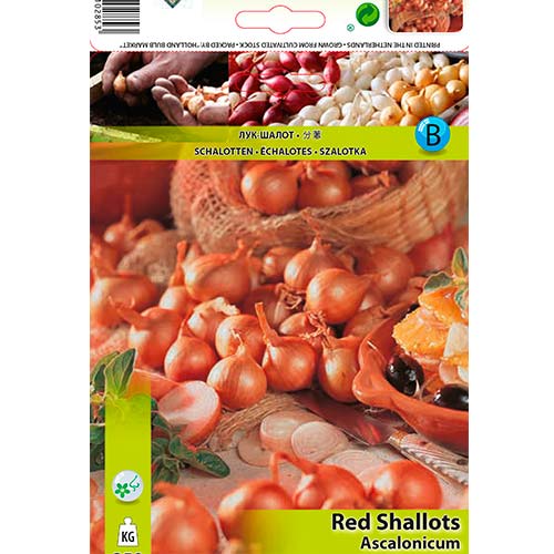 Crveni luk slika 1 interface.art 70499