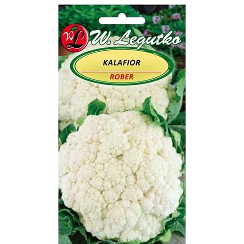 Cvjetača Rober slika 1 interface.art 86870