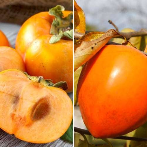 Nevjerojatna ponuda! Kaki, set od 2 sorte slika 1 interface.art 4881