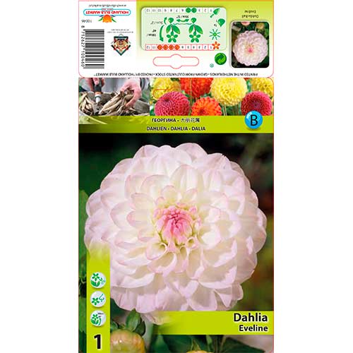 Dalija Eveline slika 1 interface.art 76583