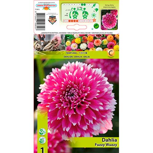 Dalija Fuzzy Wuzzy slika 1 interface.art 76580