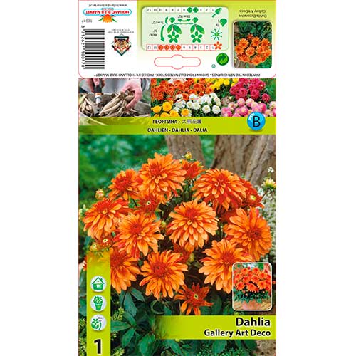 Dalija Gallery Art Deco slika 1 interface.art 76207