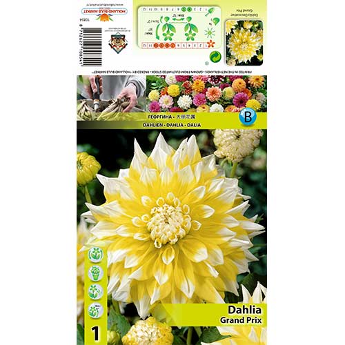 Dalija Grand Prix slika 1 interface.art 70373