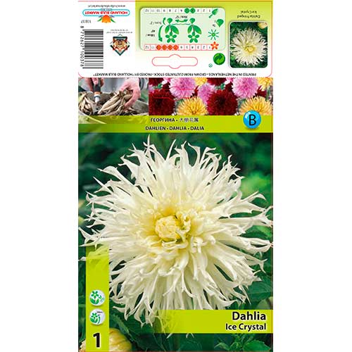 Dalija Ice Crystal slika 1 interface.art 76560