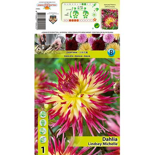 Dalija Lindsay Michelle slika 1 interface.art 70378