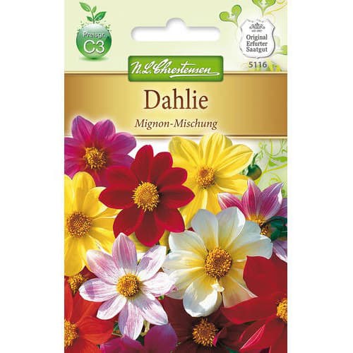 Dalija Mignon, mix multicolor slika 1 interface.art 78907