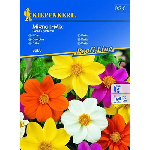 Dalija Mignon, višebojna mješavna slika 1 interface.art 96525