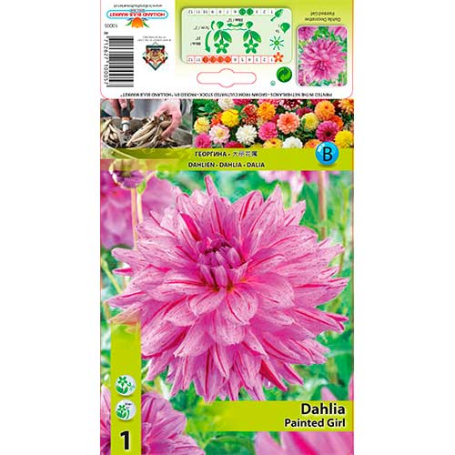 Dalija Painted Girl slika 1 interface.art 76574