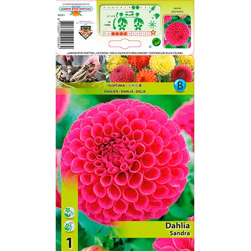 Dalija Sandra slika 1 interface.art 76576