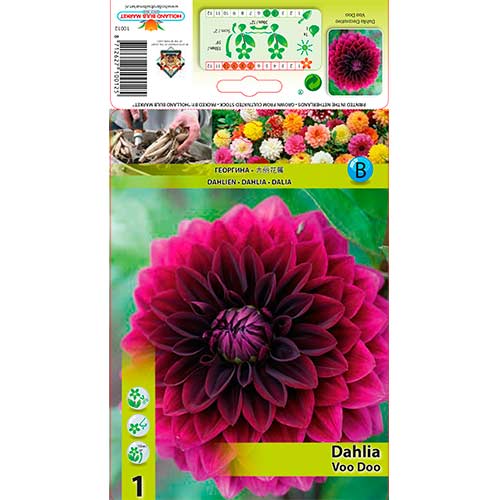 Dalija Voo Doo slika 1 interface.art 76561