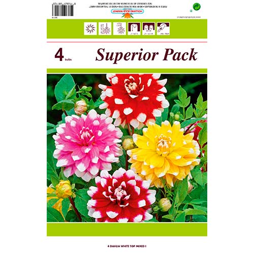 Dalija White Top mix multicolor slika 1 interface.art 76431