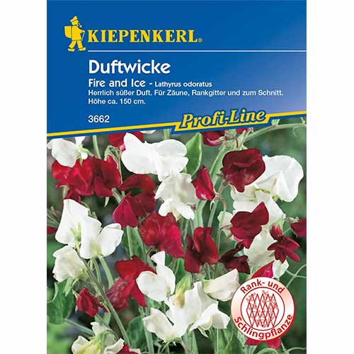 Dekorativni grašak Fire and Ice slika 1 interface.art 96530