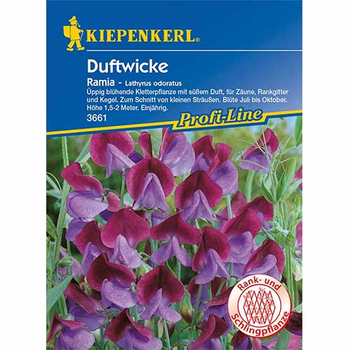 Dekorativni grašak Ramia slika 1 interface.art 96531