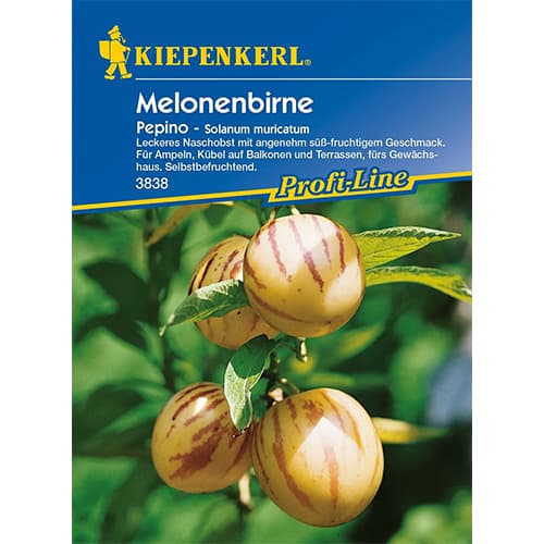 Dinja Pepino slika 1 interface.art 86478