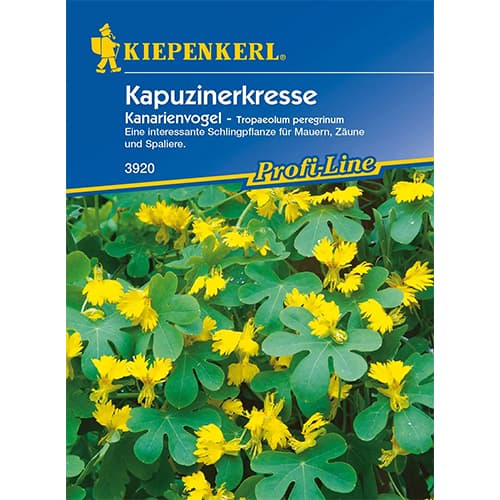 Dragoljub Canary slika 1 interface.art 86274