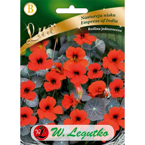 Dragoljub Empress of India slika 1 interface.art 86750