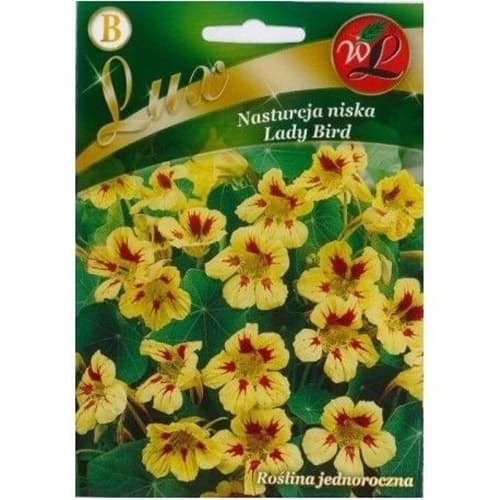 Dragoljub Lady Bird Legutko interface.art interface.photo 1 Dragoljub Lady Bird Legutko slika 1 interface.art 86751