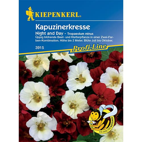 Dragoljub Night & Day Kiepenkerl interface.art interface.photo 1 Dragoljub Night & Day Kiepenkerl slika 1 interface.art 86275