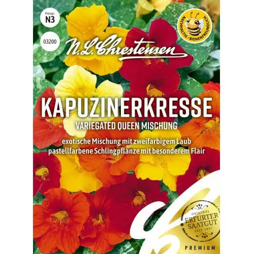 Dragoljub Queen, mix multicolor slika 1 interface.art 87812