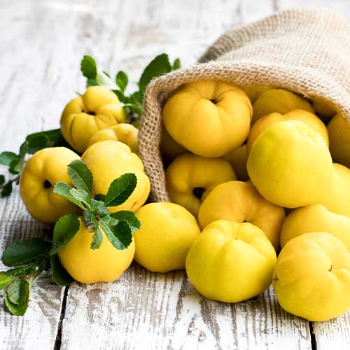 Dunja Smyrni slika 1 interface.art 6943