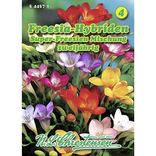 Dvogodišnja frezija, mix multicolor slika 1 interface.art 96421