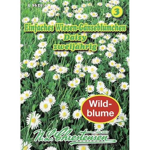 Marjetica Daisy slika 1 interface.art 87801