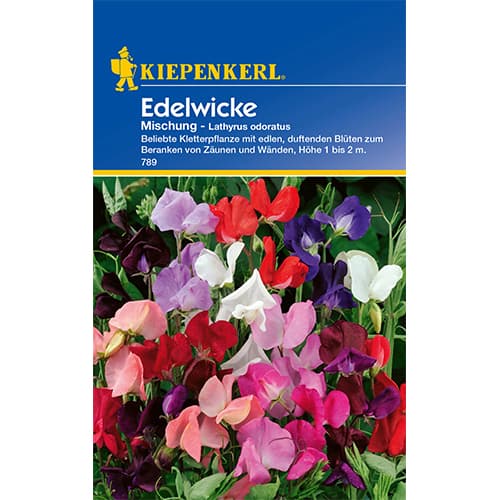 Dekorativni grašak, višebojna mješavina slika 1 interface.art 77415