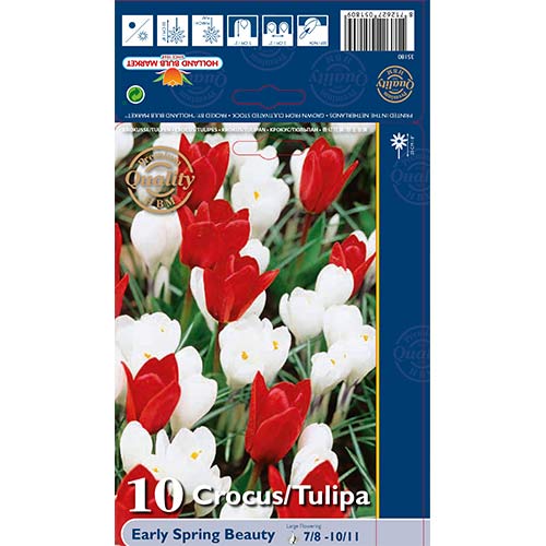 Early spring Beauty set (10 luk.) slika 1 interface.art 67543
