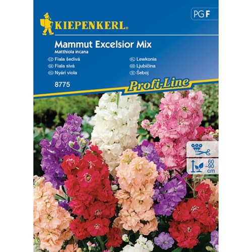 Udovičica Mamut Excelsior, višebojna mješavina slika 1 interface.art 96558