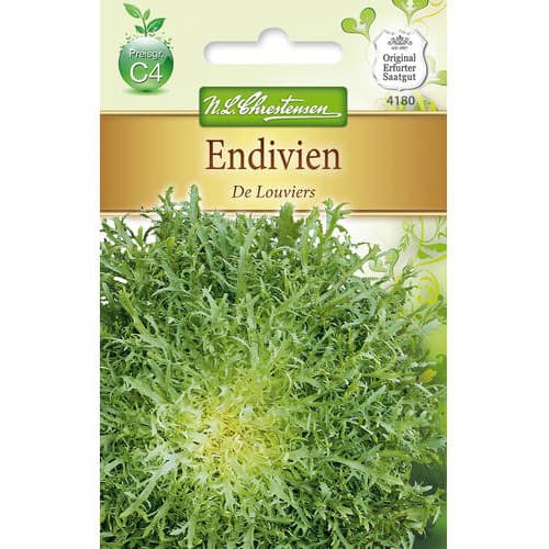 Endivija De Louviers slika 1 interface.art 78765