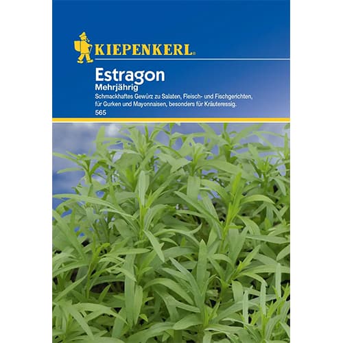 Estragon Višegodišnji slika 1 interface.art 77498