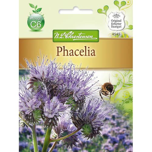 Facelija (Phacelia) slika 1 interface.art 78879