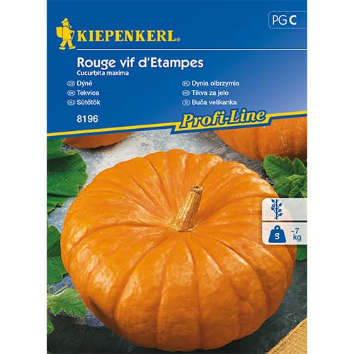 Bundeva Rouge vif d´Etampes slika 1 interface.art 86472