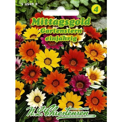 Gazania Garden Show slika 1 interface.art 96423