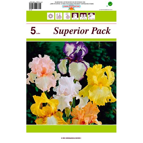 Germanski iris mix multicolor slika 1 interface.art 76464