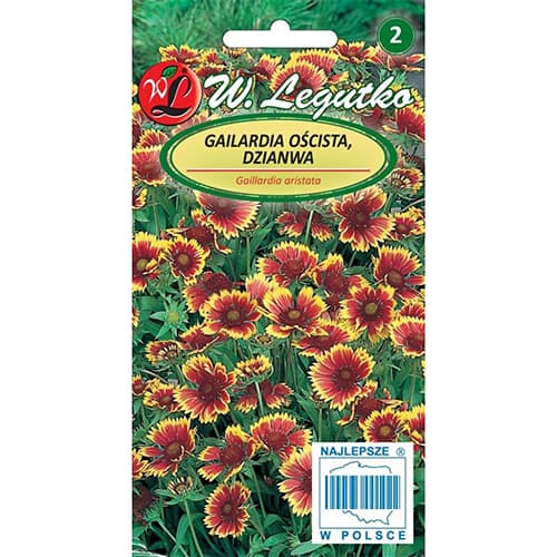 Gilardija Bicolor, višebojna mješavina slika 1 interface.art 87860