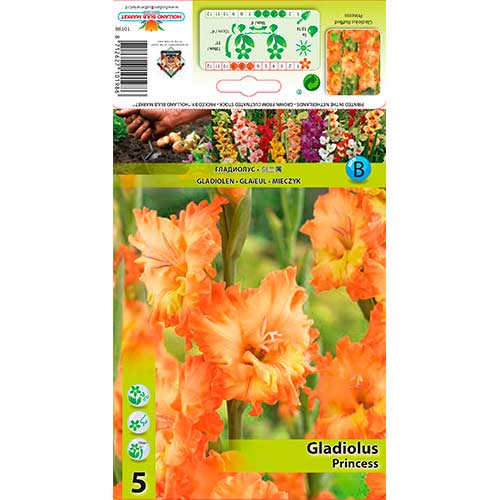 Gladiola Ruffled Princess slika 1 interface.art 76252