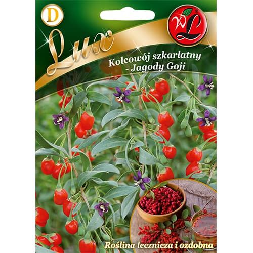 Goji Legutko slika 1 interface.art 96786