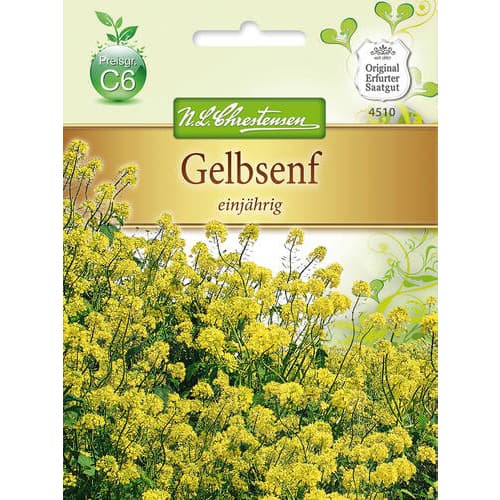 Gorušica White slika 1 interface.art 78877