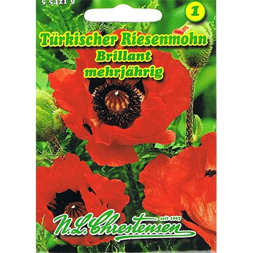 Grah Bob Hangdown slika 1 interface.art 78831