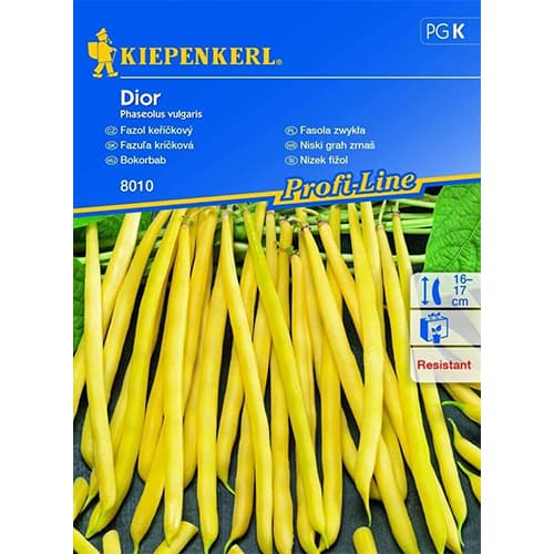 Grah Dior slika 1 interface.art 87275