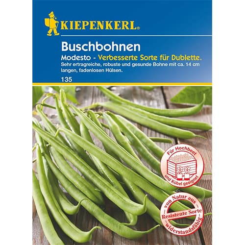 Grah Modesto slika 1 interface.art 96602