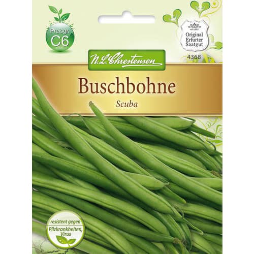 Grah Scuba slika 1 interface.art 78825