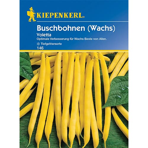 Grah Voletta slika 1 interface.art 86404