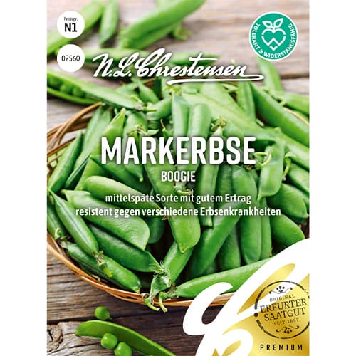 Grašak Boogie slika 1 interface.art 86058