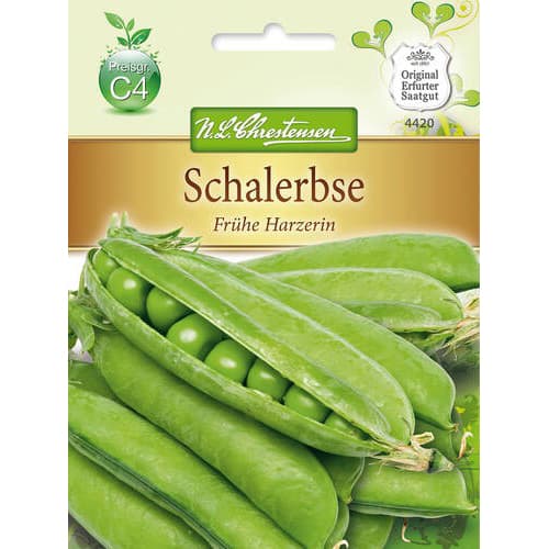 Grašak Early Harzer slika 1 interface.art 78841