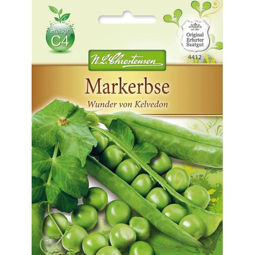 Grašak Kelvedon Wonder slika 1 interface.art 78839